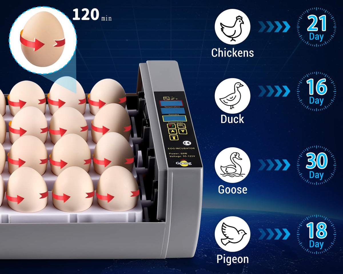 Egg Incubator, 24 Eggs Incubator with Digital Display, Auto Egg-Turning, Auto Temperature Control