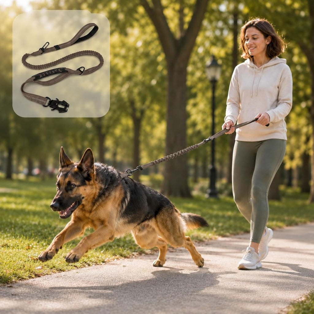 Bungee Dog Leash for Large Dogs: Protect Arm from Sudden Lunges on Walking