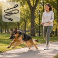Bungee Dog Leash for Large Dogs: Protect Arm from Sudden Lunges on Walking