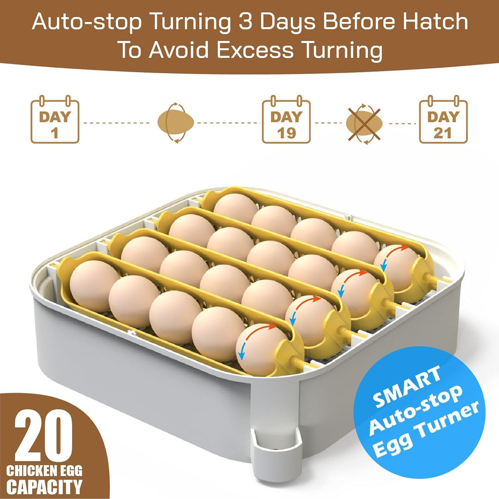 20 Egg Incubator with Humidity Display, Egg Candler, Automatic Egg Turner