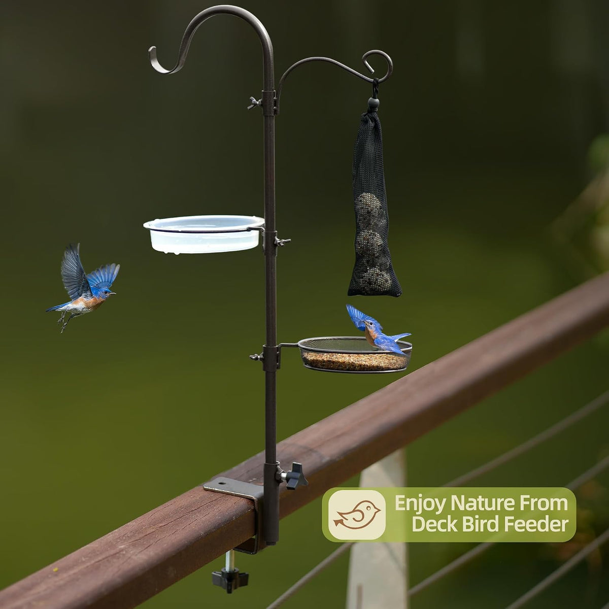 Deck Hook Bird Feeder Pole Bird Feeder Porch Multi Hook Bird Feeding Station Kit Multi Feeder Hanging Kit Premium
