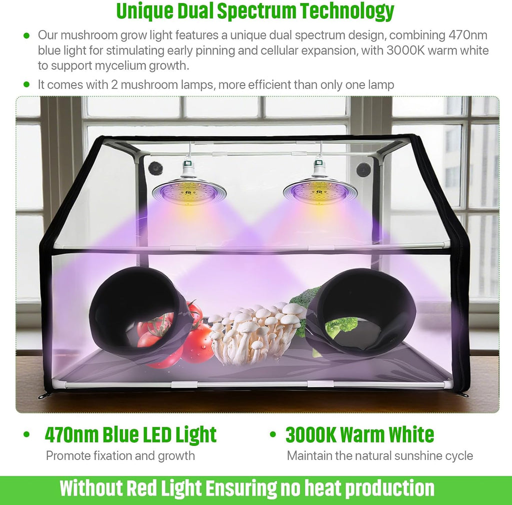 Large Still Air Box Mushroom Grow Set Mycology Propagation Box