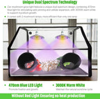 Large Still Air Box Mushroom Grow Set Mycology Propagation Box