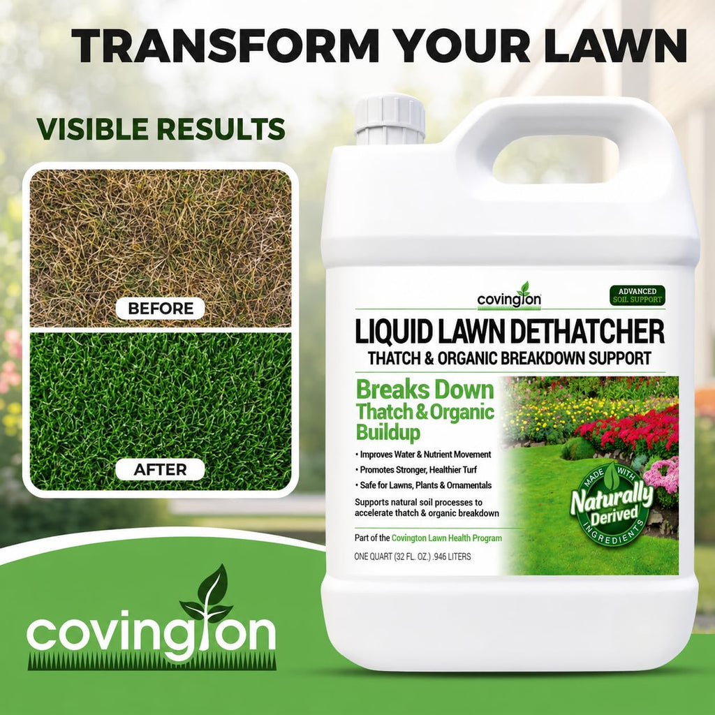 Covington Liquid Lawn Dethatcher (32oz) – Liquid Aerator Concentrate & Humic Thatch Remover, Soil Softener & Grass