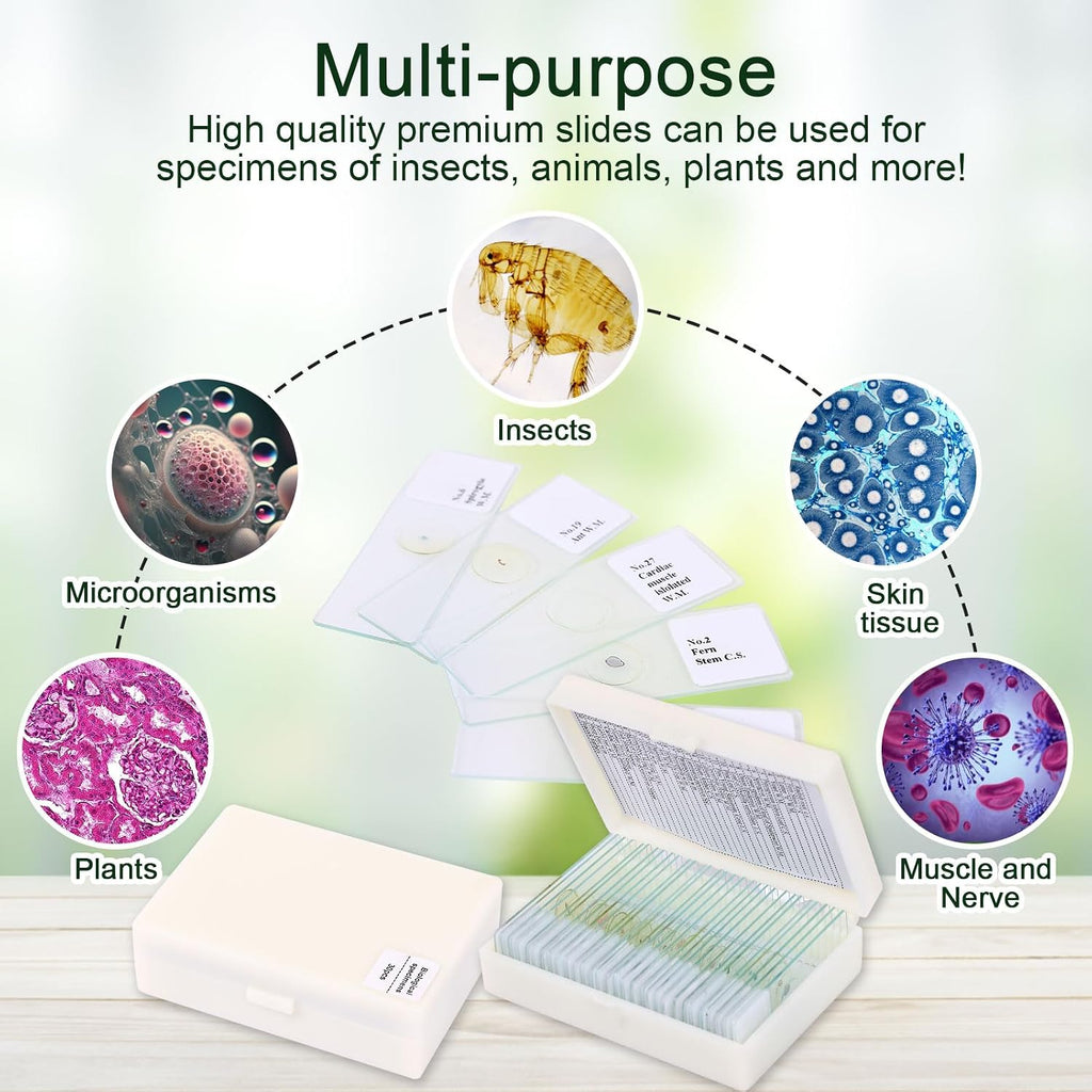 120 Microscope Slides with Specimens, Plant, Insect, Animal, Algae Slide Set for Biological Science Laboratory Basic