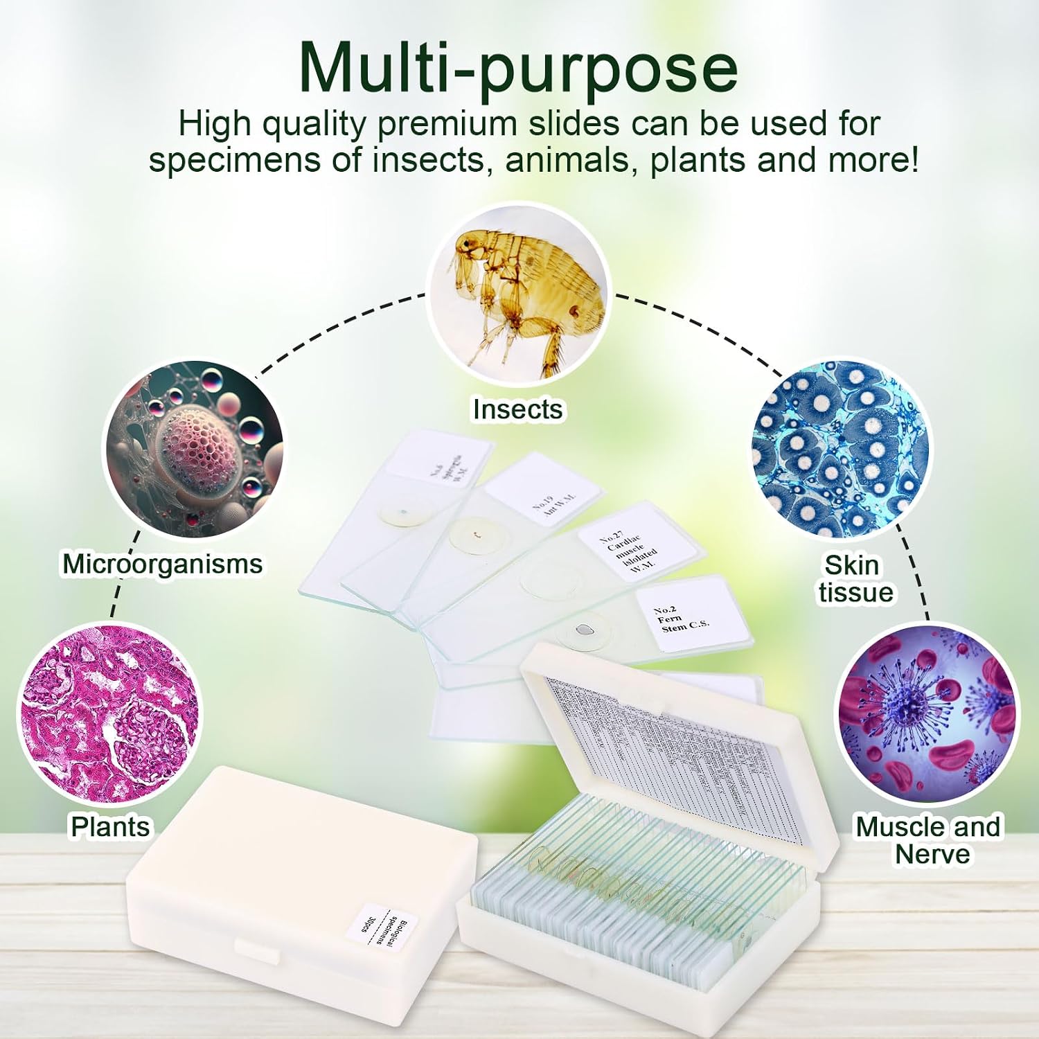 120 Microscope Slides with Specimens, Plant, Insect, Animal, Algae Slide Set for Biological Science Laboratory Basic