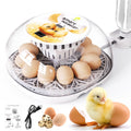 Incubators for Hatching Eggs Quail Egg Incubator 12 Eggs with Automatic Egg Turning and Humidity Control 360° Viewing
