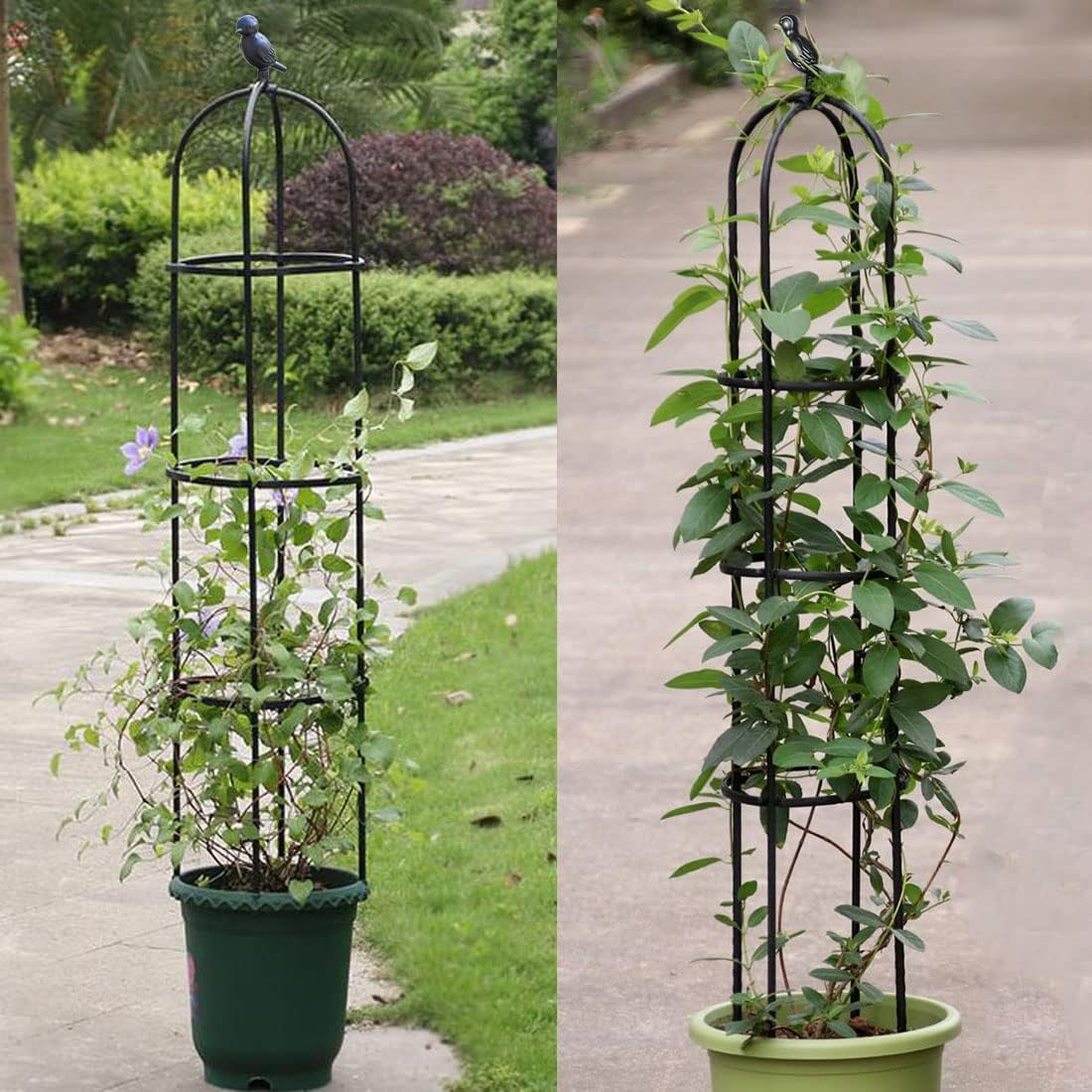 Garden Trellis,Tomato Cage for Climbing Plants Outdoor, Plants Trellis Support for Climbing Vines, Plant Support for