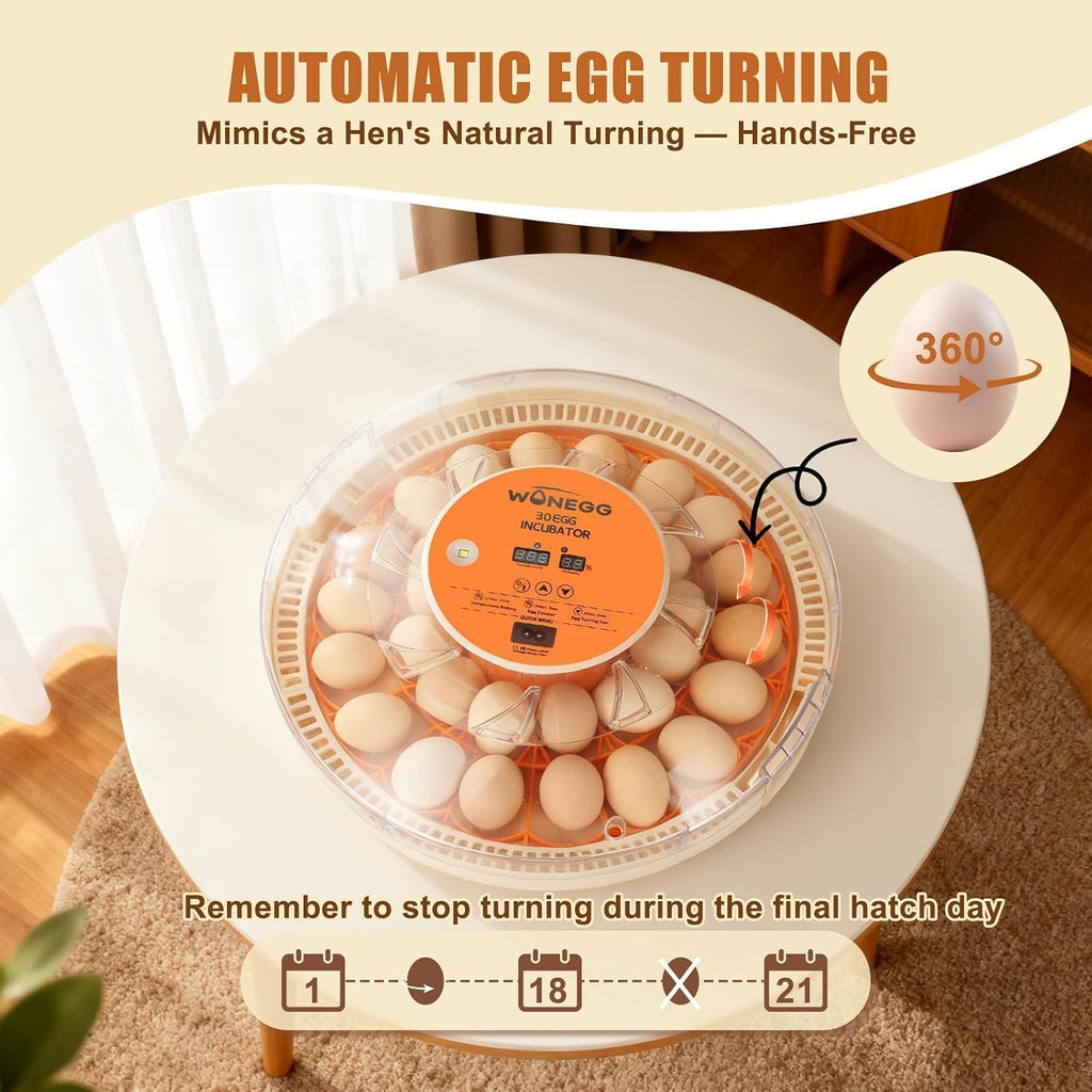 Serie II - 30 Egg Incubator for Experienced Hands-On Hatchers, Auto Egg Turn, Manual Humidity Control (Water Fill)