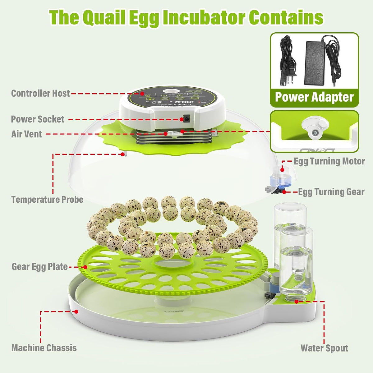 40 Quail Egg Incubator with Automatic Egg Turning Humidity Control Eggs