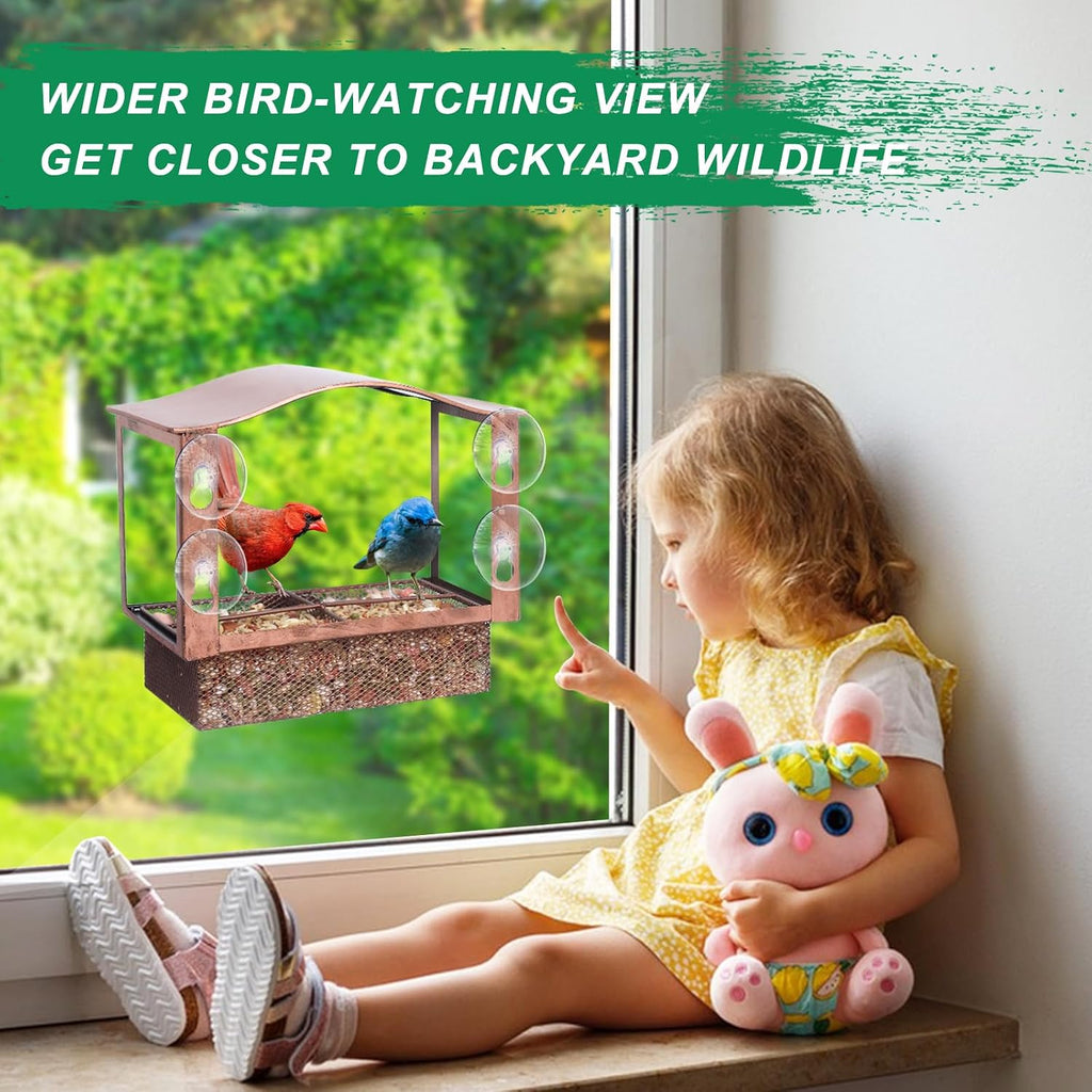 Window Bird Feeder with Strong Suction Cups
