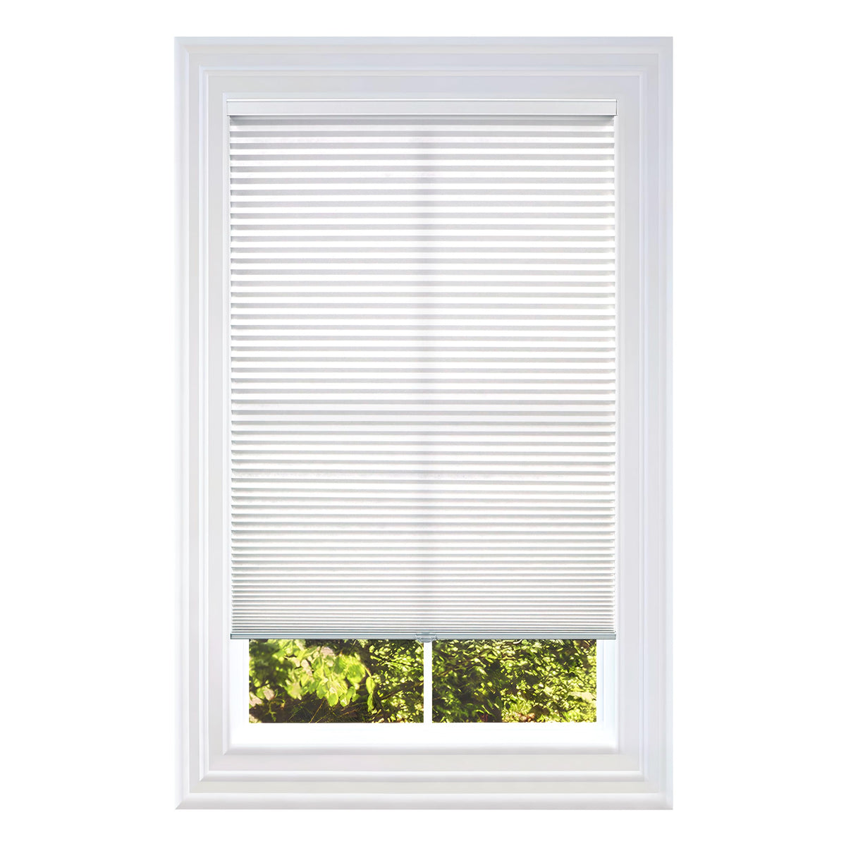 Cordless Cellular Shade, White, 27" W x 72" H