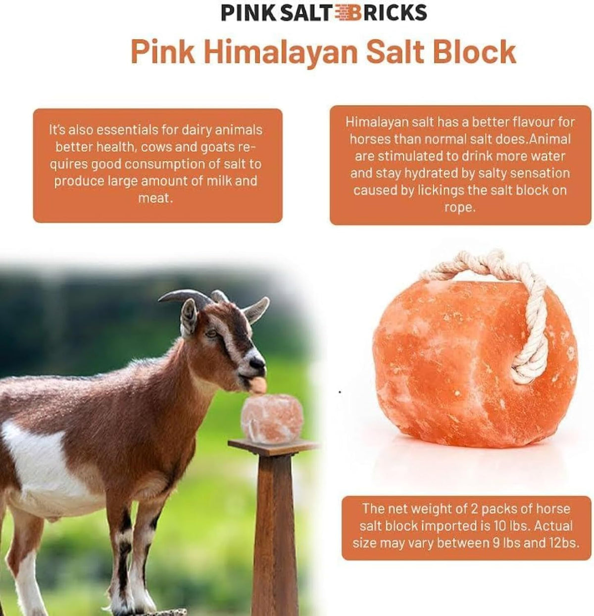 Himalayan Salt Lick for Horses & Livestock with Rope, Natural Mineral Salt Block, 3–4 lbs Each, 4 Pack for Horses