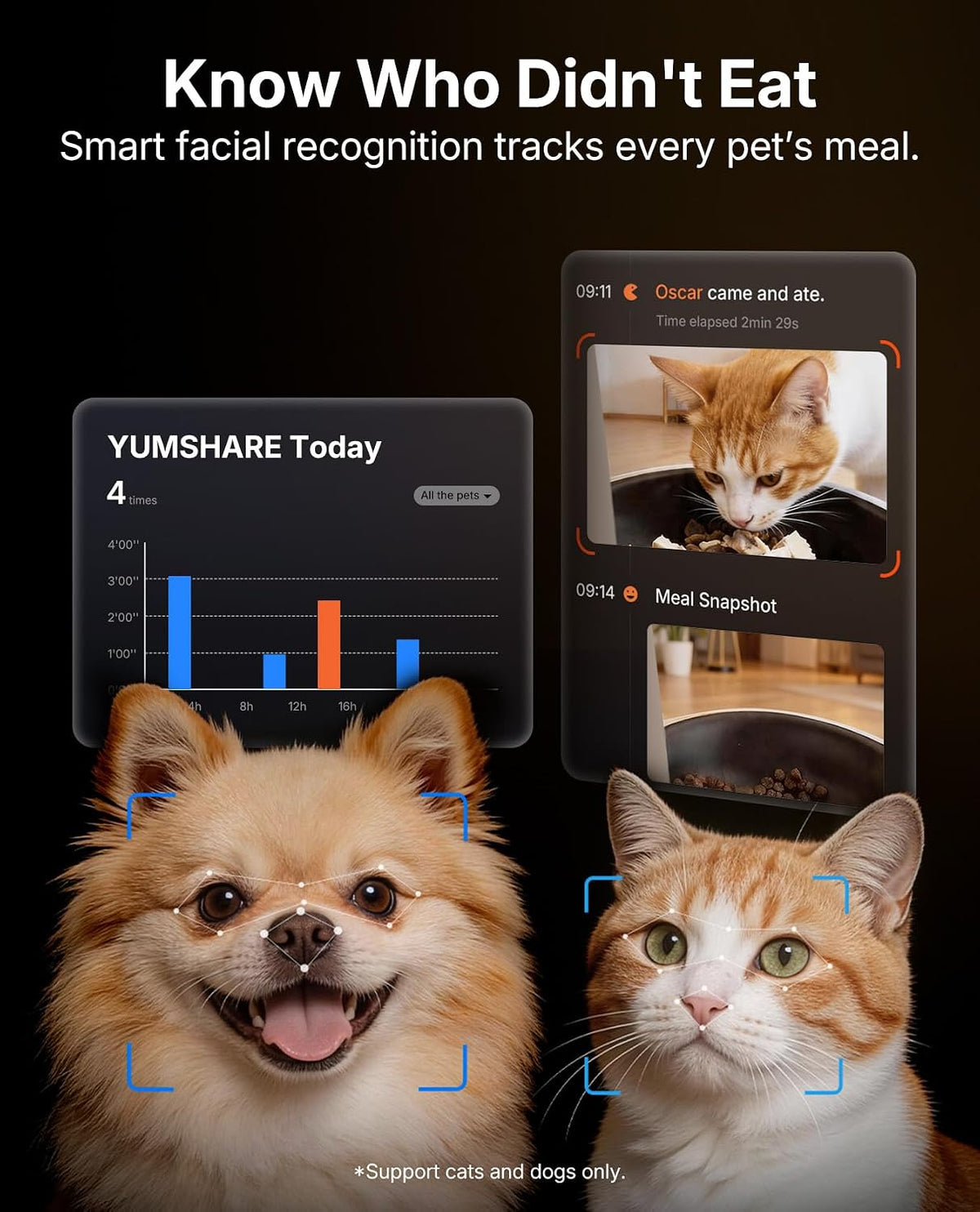 Upgraded Multi-Cat Recognition Automatic Cat Feeder with Camera