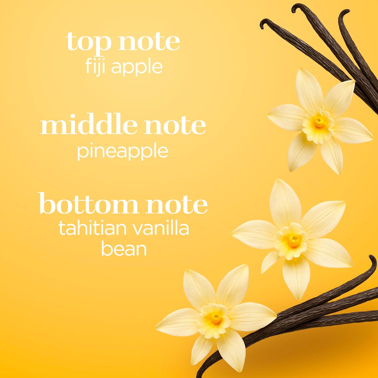 Signature Fragrance Body Spray, Vanilla, 8 fl oz (Pack of 2)