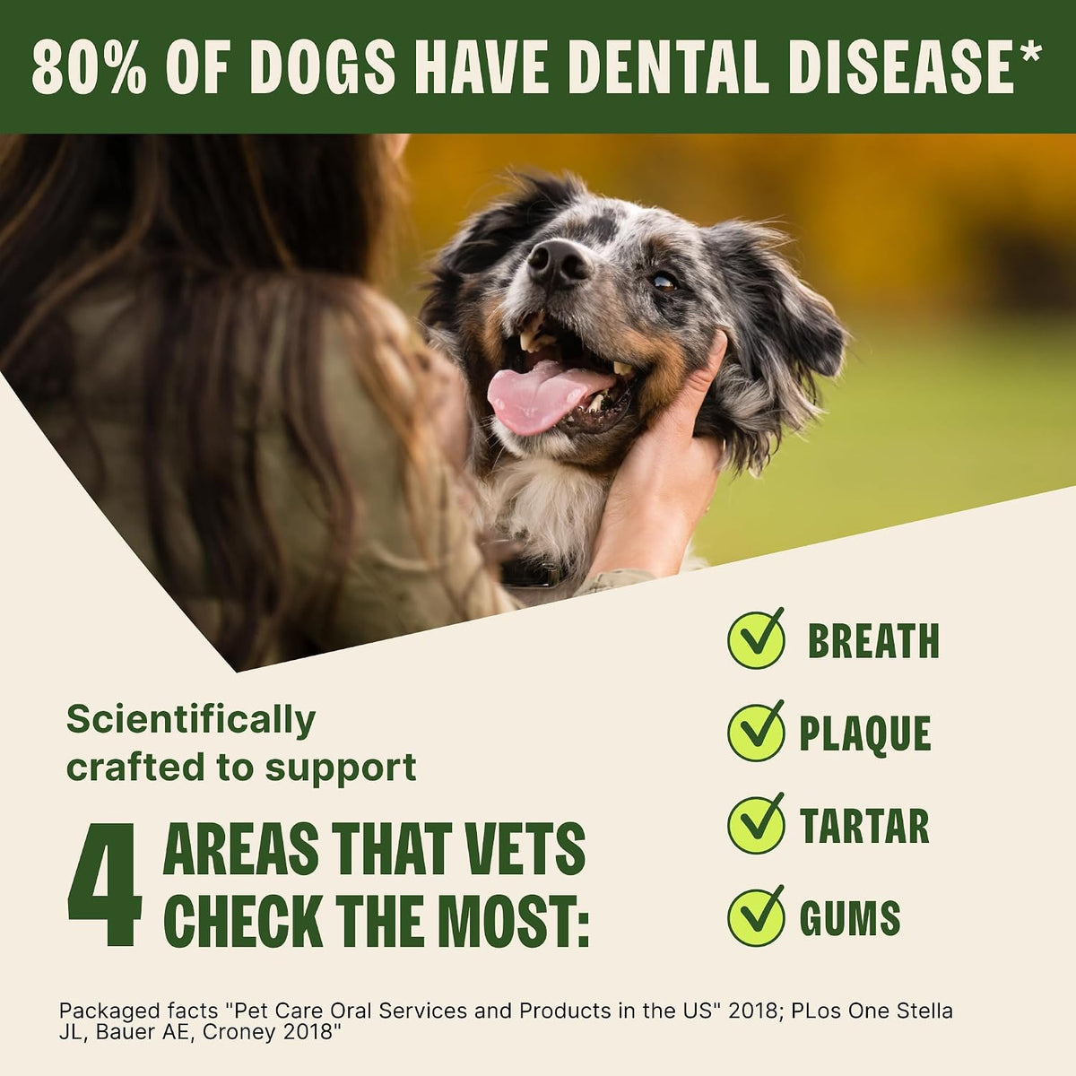 Wellness Stix Natural Dog Dental Treat, Chews, Freshens Breath, Small Size Sticks, 14.81 oz Bag, 28 Count