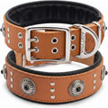 Studded Leather Dog Collar for Large Dogs, Adjustable 19-24"