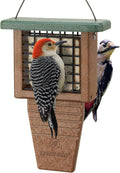 Suet Bird Feeder with Tail-Prop