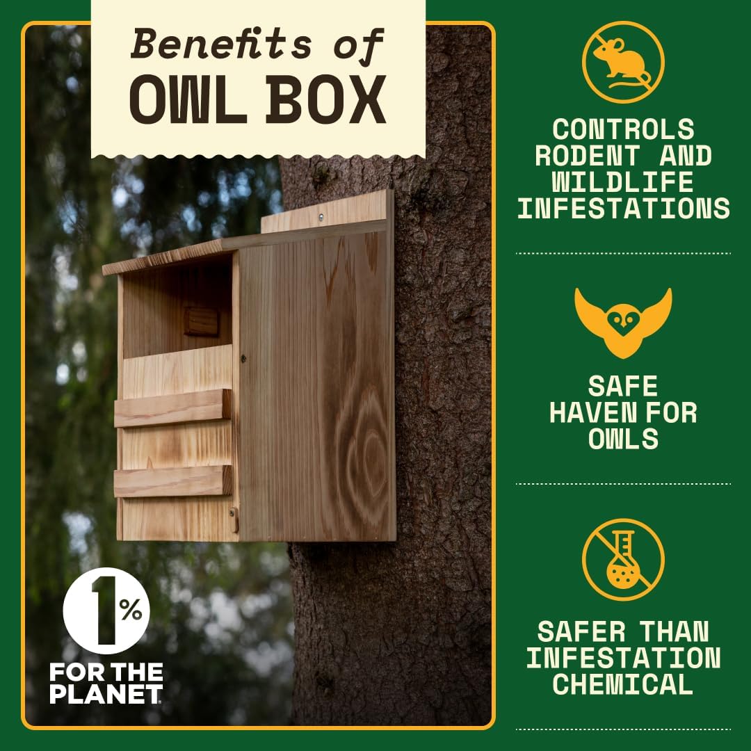 Barn Owl Nesting Box - Large, Cedar, Preassembled, Easy-Hang