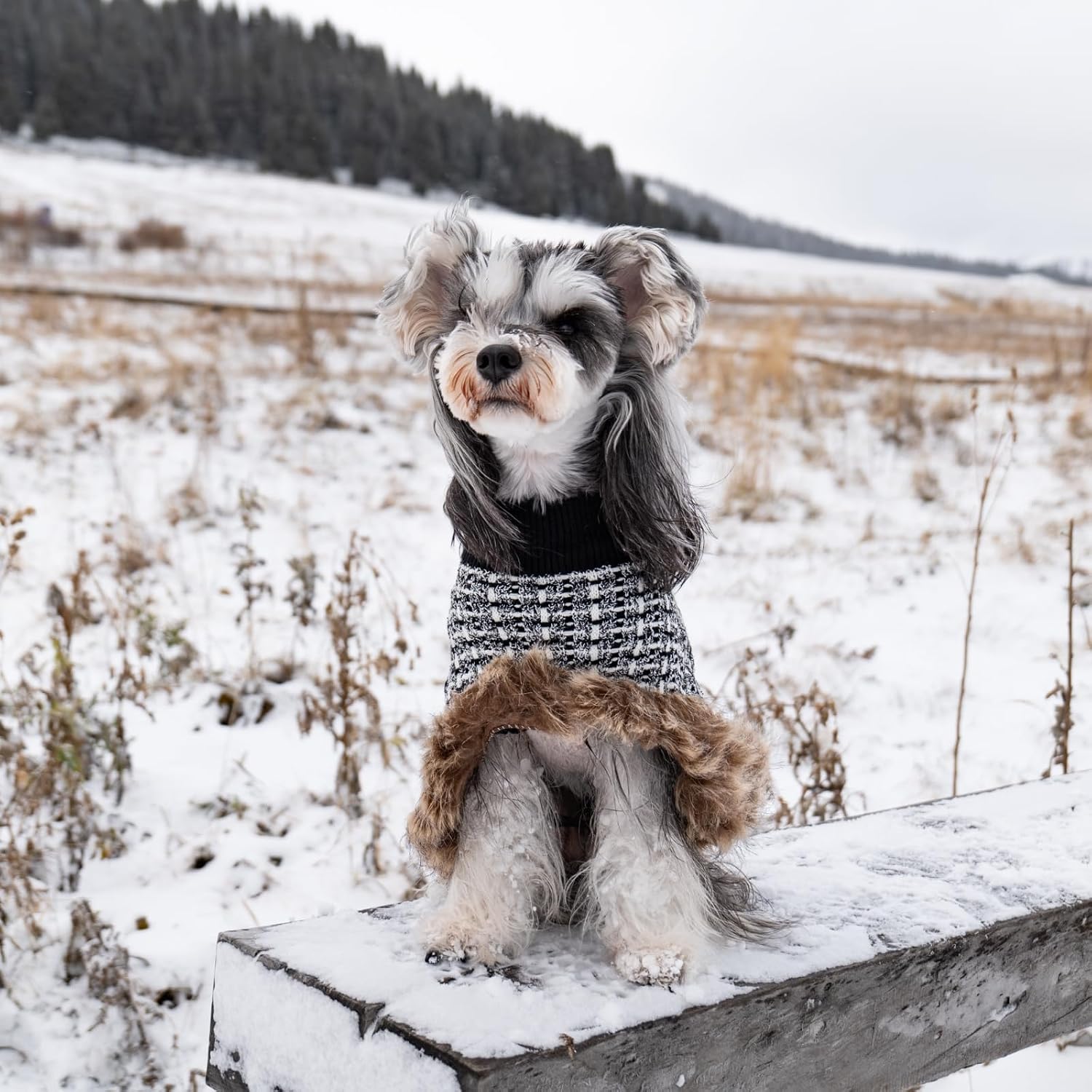 Dog Sweater Cloak, Pearl Cotton Bouclé Yarn Puppy Sweater, Cold Weather Coat Knitwear for Small Dogs, Classic