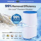 C-5345 SPA Filter Replaces PLBS50 2PACK