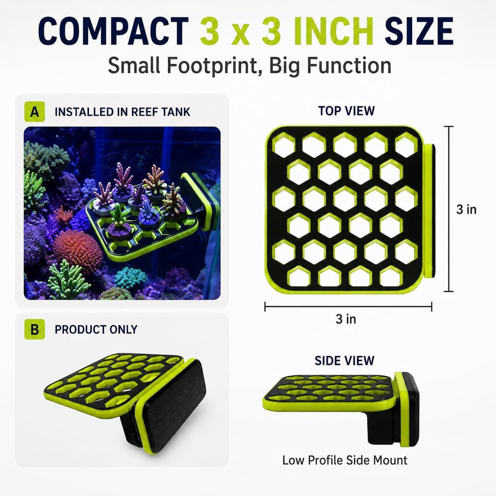Magnetic Coral Frag Rack 3x3 Inch Reef Tank Frag Holder Compatible with Standard Coral Frag Plugs, Side Mount