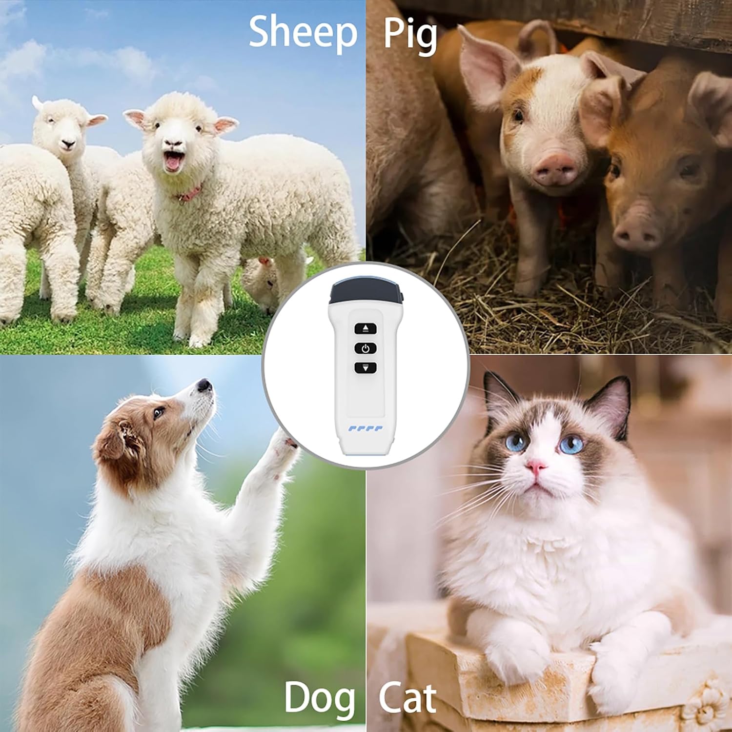 Dual Probe Veterinary Color Doppler Ultrasound Machine, Wireless Handheld Scanner for Pregnancy & Organ Exam in Dog