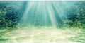 36x18 inches Aquarium Backdrop Underwater Ocean Floor Fish Tank Background
