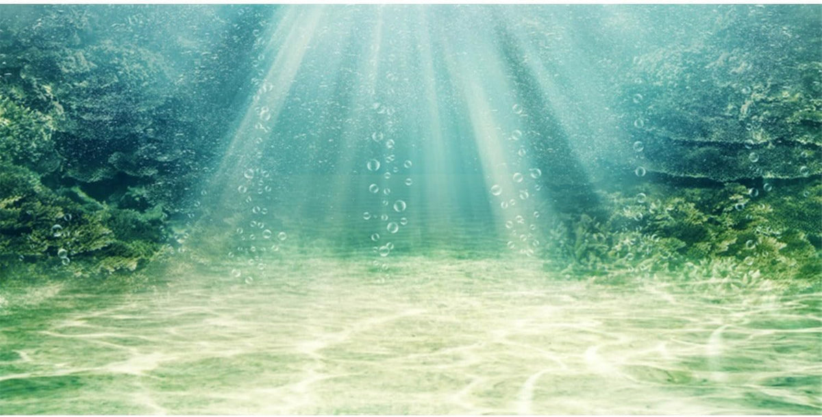 36x18 inches Aquarium Backdrop Underwater Ocean Floor Fish Tank Background