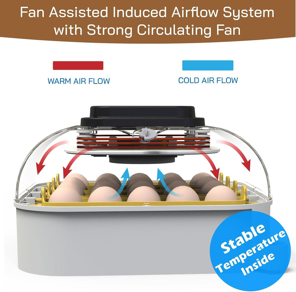 20 Egg Incubator with Humidity Display, Egg Candler, Automatic Egg Turner