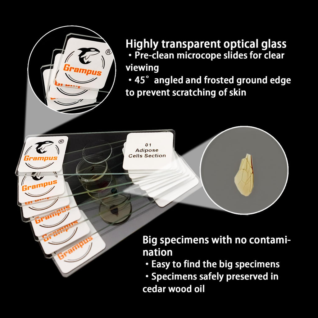 30 Prepared Microscope Slides with Specimens for Kids Students - Animals Plants Insects Microorganism, for Biological