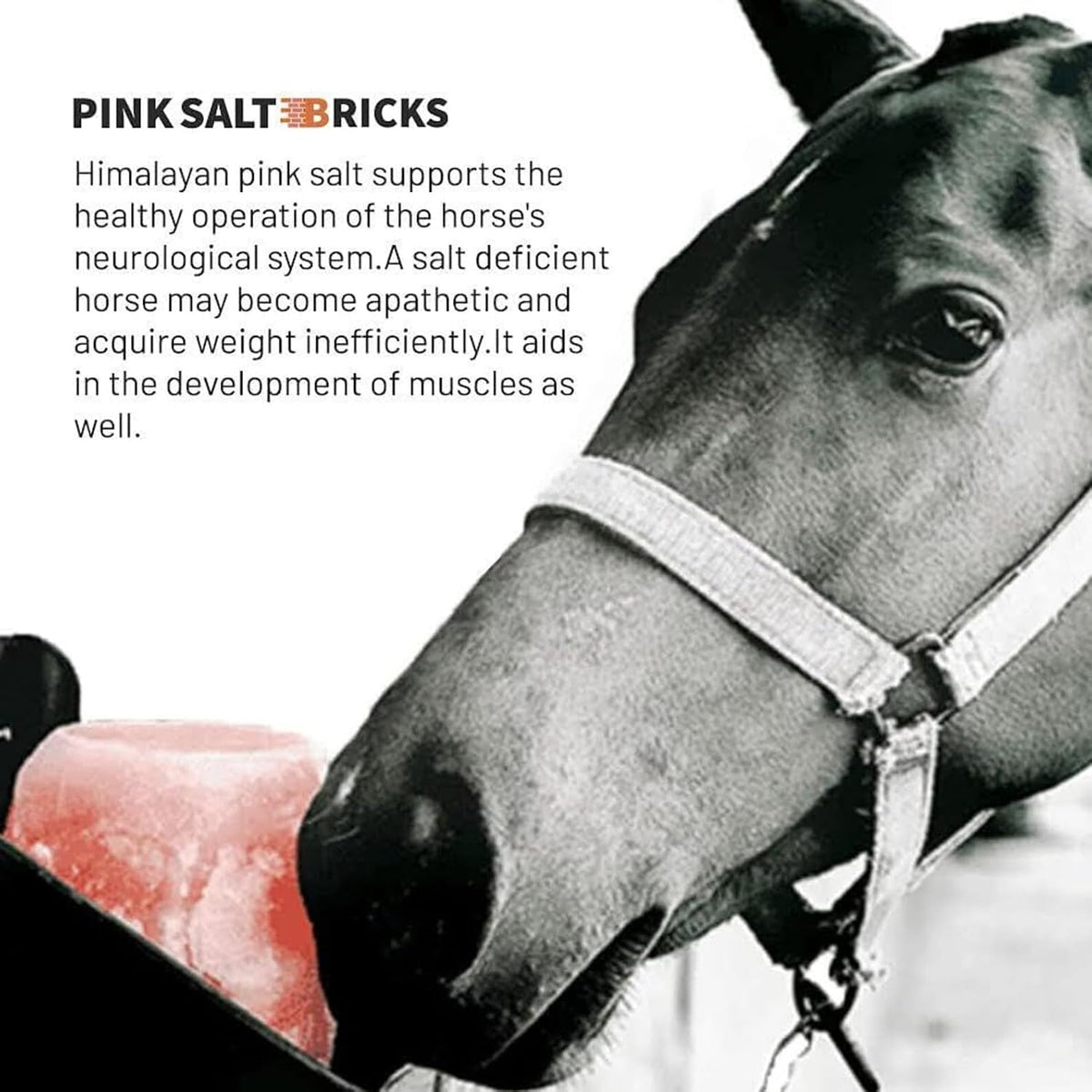 Himalayan Salt Lick for Horses & Livestock with Rope, Natural Mineral Salt Block, 3–4 lbs Each, 4 Pack for Horses