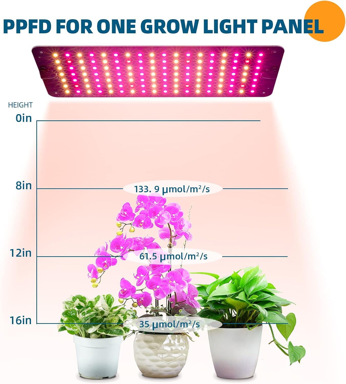 Grow Lights for Indoor Plants, 2 x 10W Ultra-Thin Grow Light Panel | Full Spectrum, with 3/6/12H Auto On/Off Timer