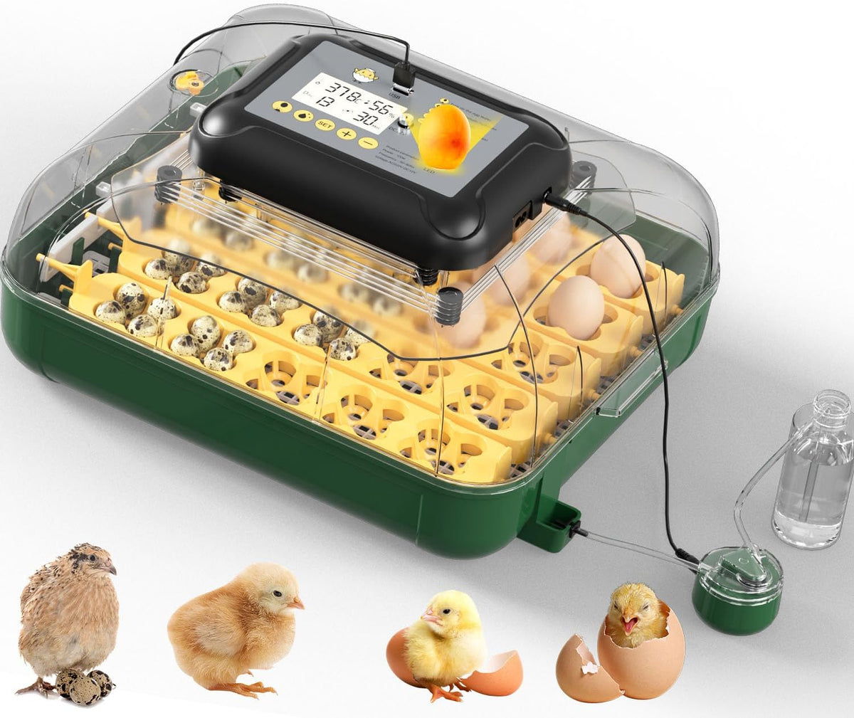 125 Egg Incubator for Hatching Eggs with Automatic Egg Turning, Temperature & Humidity Display, Hatch Day Countdown