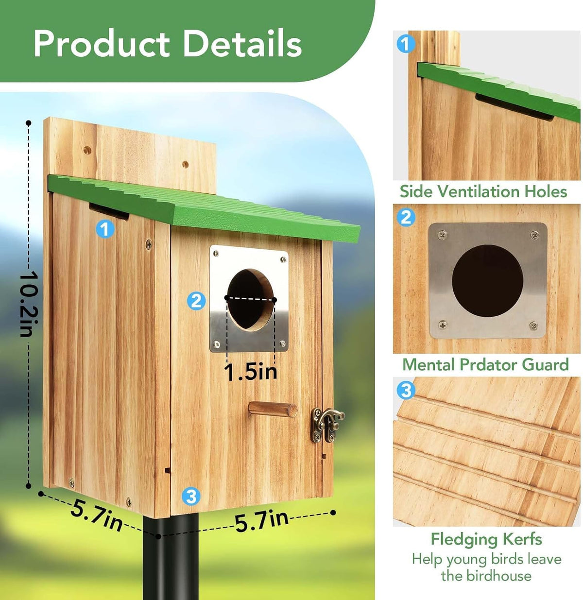 Fitroho Bird Houses for Outside - Natural Cedar Wood Bluebird Houses