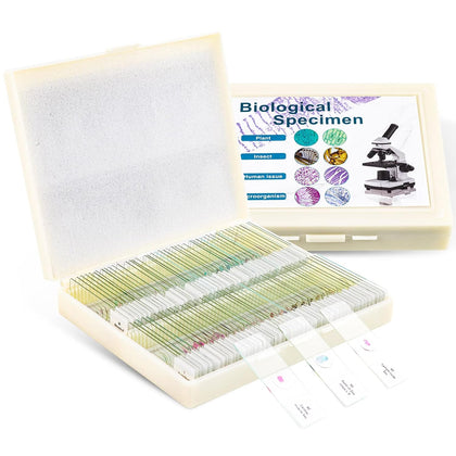 100 Prepared Microscope Slides with Specimens for Kids Adults - Bacterium, Fungus, Human Tissues, Mitosis, Plants