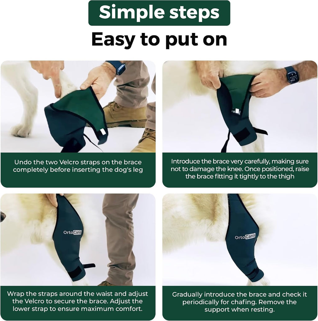 Dog Knee Brace for Hind Leg Support – (Small, Left Leg)