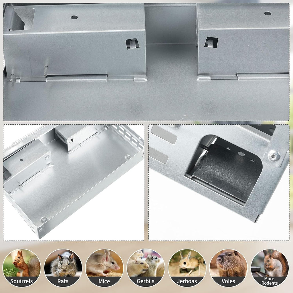 4 Pack Mice Trap Multi Catch Humanized, Silver, Clear Top | Mouse Traps, Reusable Rodent Control with See-through