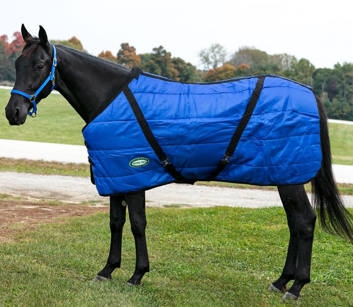 Sentinel Channel Quilt Horse Stable Blanket, Midweight Open Front, 420D Nylon Outer Shell, 250g Poly-Fill Insulation