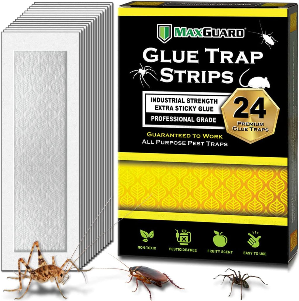 Glue Trap Strips (24 Traps) Non-Toxic Extra Sticky Glue Board Pre-Baited with Fruity Scent Attractant Trap & Kill
