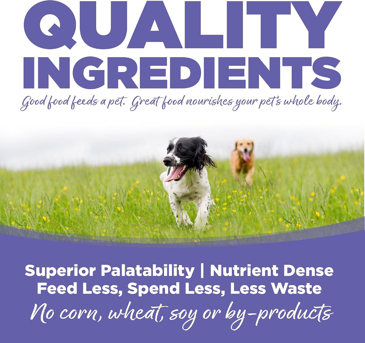 Small & Medium Breed Puppy Dry Dog Food, 4 lb