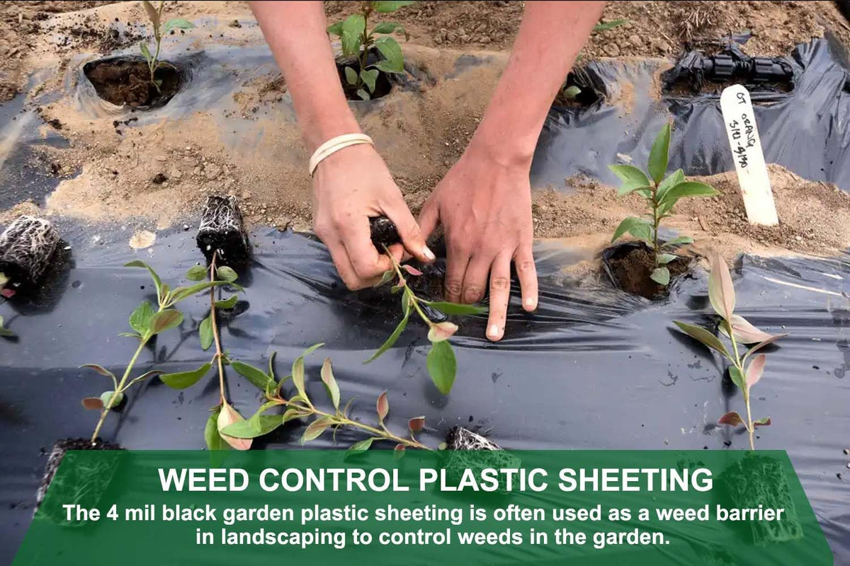 4 Mil Black Plastic Sheeting, 4 FTx100 FT Garden Landscape Plastic