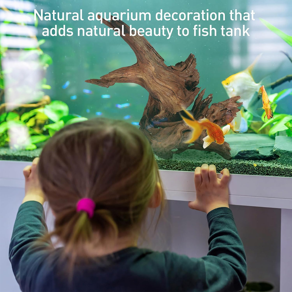 3 PCS Natural Driftwood for Aquarium Decor Fish Tank Decorations