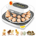 24 Eggs Incubator, 4 Modes, Temp Control & Humidity Display, Grey