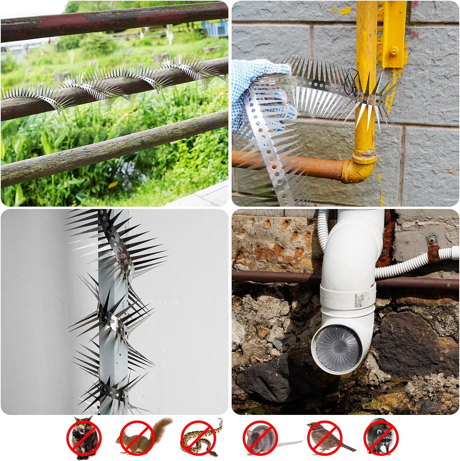 Bird Spikes - 60 Inch Stainless Steel Fence Spikes for Pigeons, Raccoons, Snakes - Deterrent Defender | 60 inch