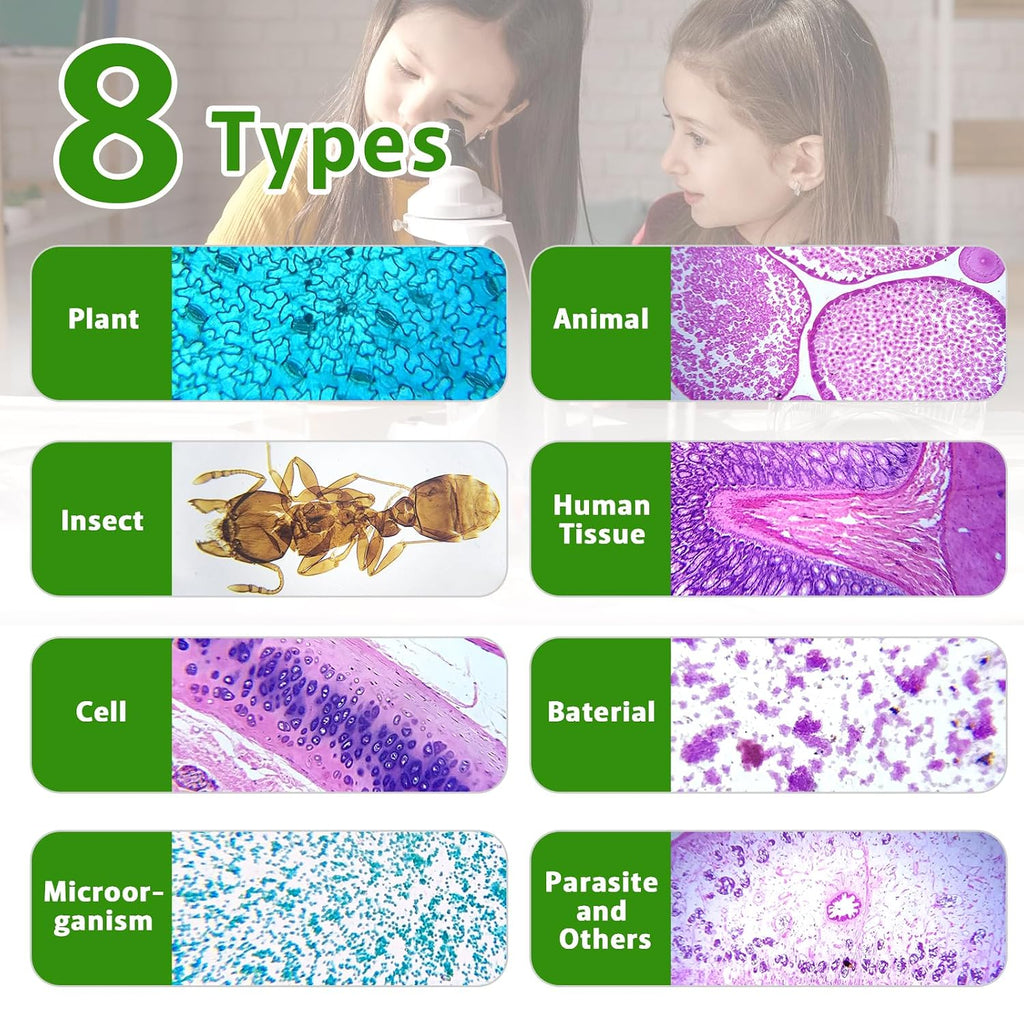60 Microscope Slides with Specimens,Prepared Microscope Slides for Kids,Glass Slides for Microscope,Prepared Slides