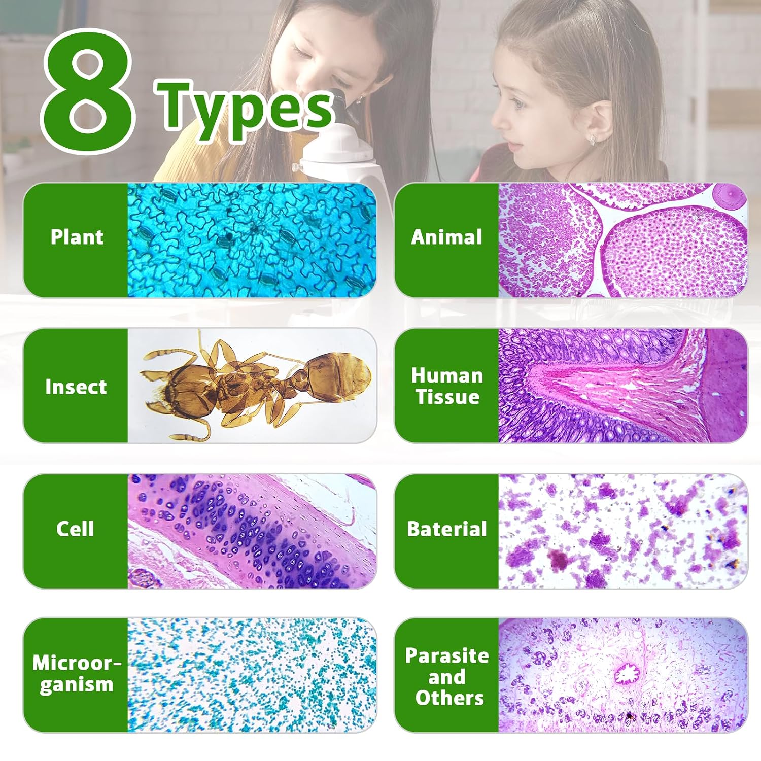 60 Microscope Slides with Specimens,Prepared Microscope Slides for Kids,Glass Slides for Microscope,Prepared Slides
