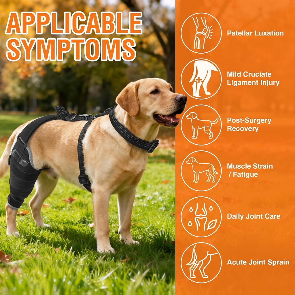 Dog Knee Brace XL, Hind Leg Support with Hot & Cold Gel Pack