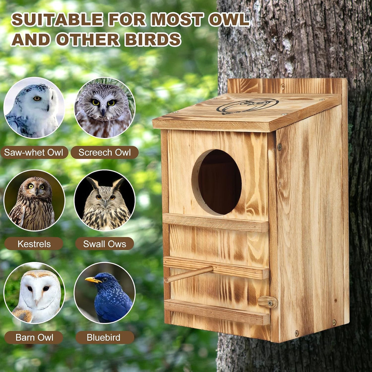 Owl House for Outdoors, Solid Pine Wood Barn Screech Barred Owl Nesting Box