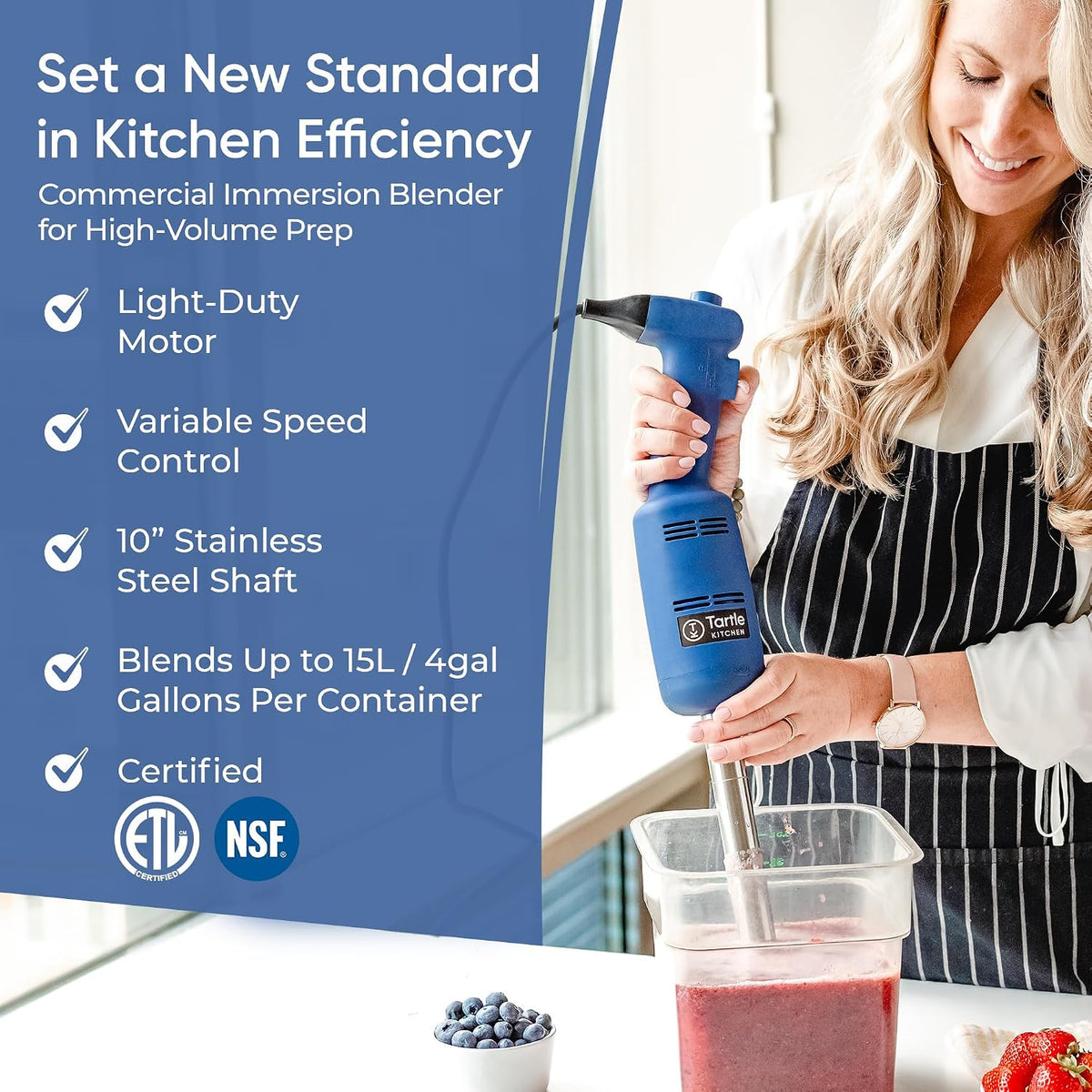 TK Commercial Immersion Blender 350W Light Duty for Restaurants - 10" Shaft